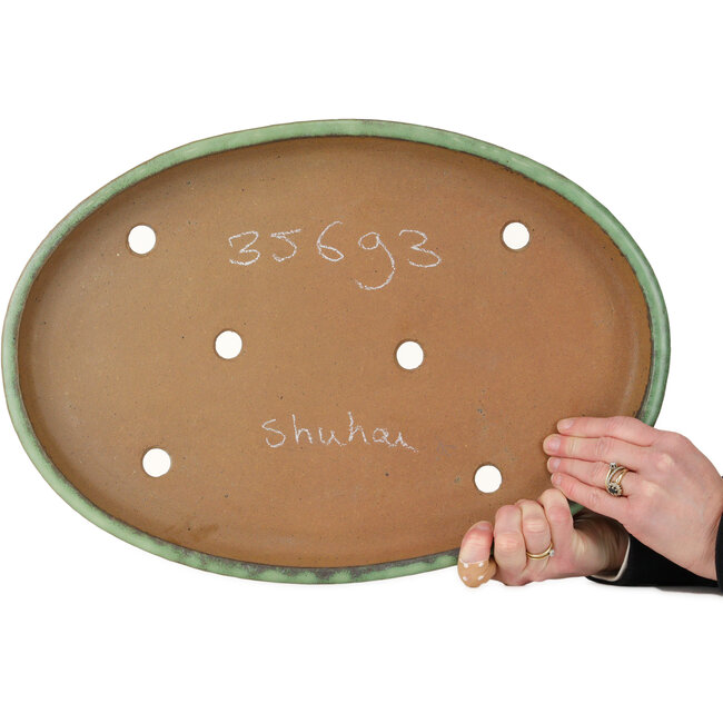 Pot ovale vert pour bonsaï de Shuhou - 460 x 320 x 40 mm