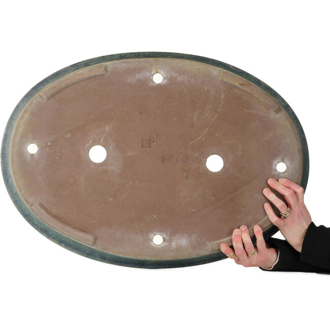 Pot à bonsaï ovale bleu sarcelle de Suishoen Hekisui - 635 x 450 x 83 mm