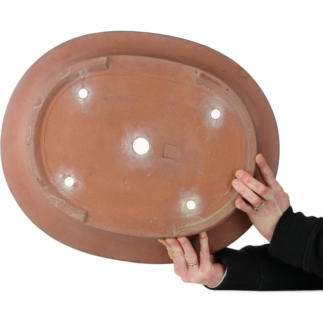 Oval unglazed bonsai pot by Seibun - 475 x 390 x 113 mm