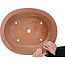 Oval unglazed bonsai pot by Seibun - 475 x 390 x 113 mm