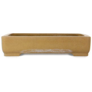 Maruhei Vaso bonsai rettangolare non smaltato da 430 mm di Maruhei, Tokoname, Giappone