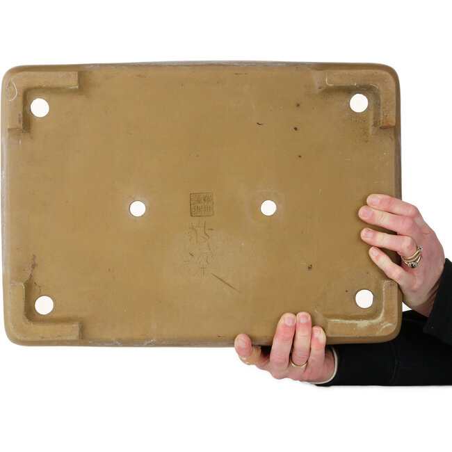 Maceta rectangular sin esmaltar para bonsái de Maruhei - 430 x 312 x 92 mm
