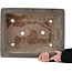 Maceta rectangular sin esmaltar para bonsái de Reihou, primera generación - 483 x 368 x 125 mm