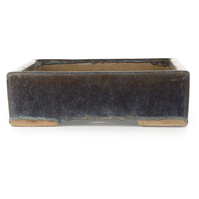 Rechthoekige blauwe bonsaipot - 537 x 336 x 100 mm