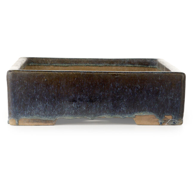 Rectangular blue bonsai pot - 537 x 336 x 100 mm