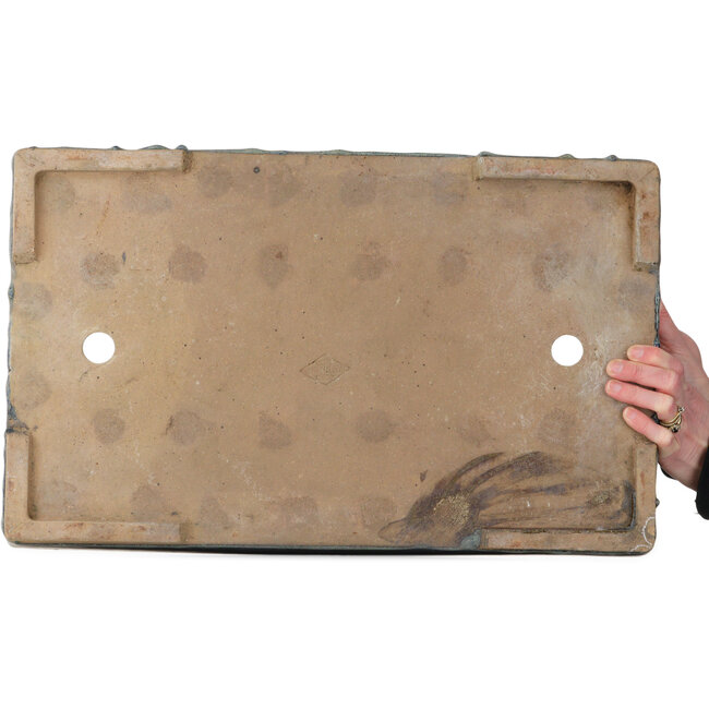 Rechthoekige blauwe bonsaipot - 537 x 336 x 100 mm