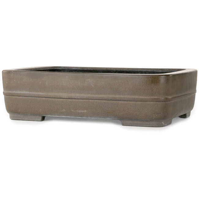 Vaso bonsai rettangolare non smaltato di Eiraku - 435 x 325 x 120 mm