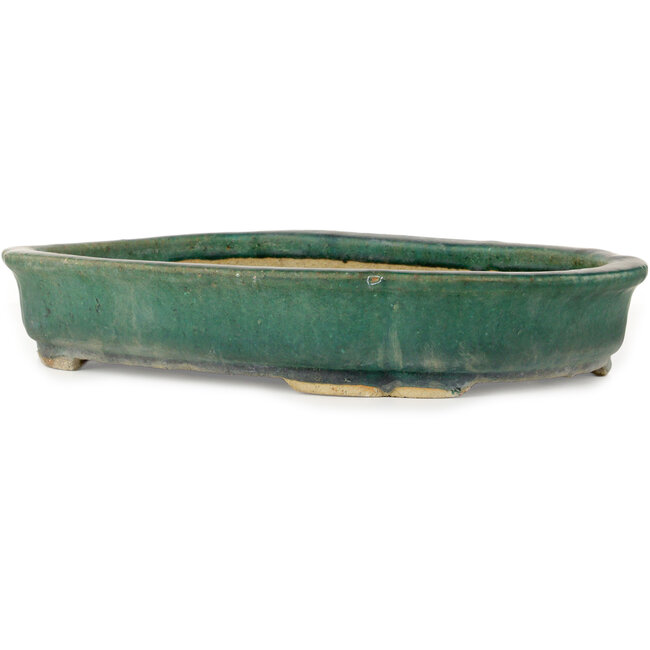 Mokko groene bonsaipot van Kanto - 485 x 350 x 80 mm