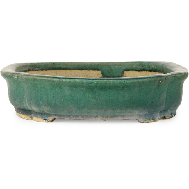 Mokko groene bonsaipot van Kanto - 485 x 350 x 80 mm