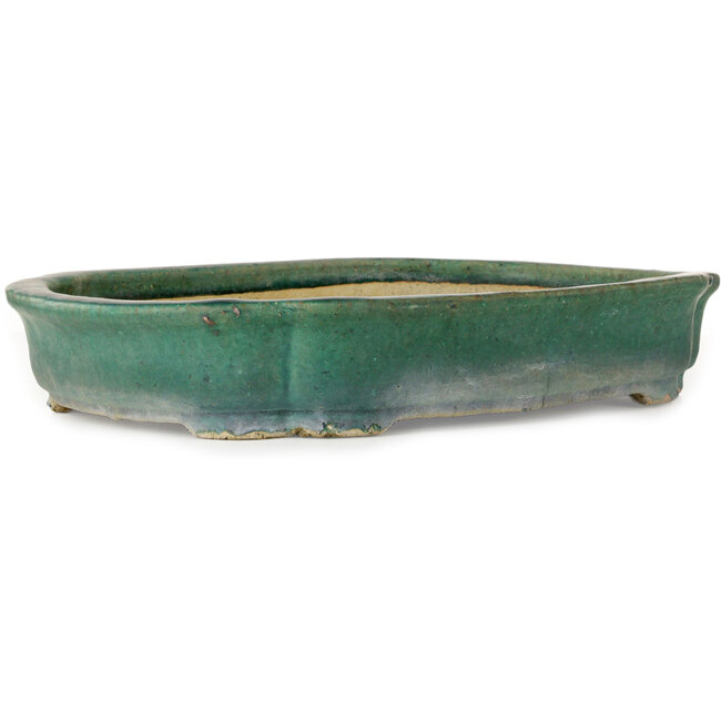 Maceta para bonsái verde Mokko de Kanto - 485 x 350 x 80 mm