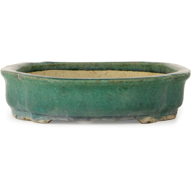 Mokko groene bonsaipot van Kanto - 485 x 350 x 80 mm