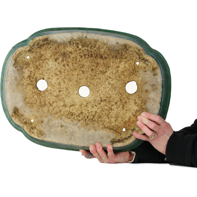 Mokko groene bonsaipot van Kanto - 485 x 350 x 80 mm