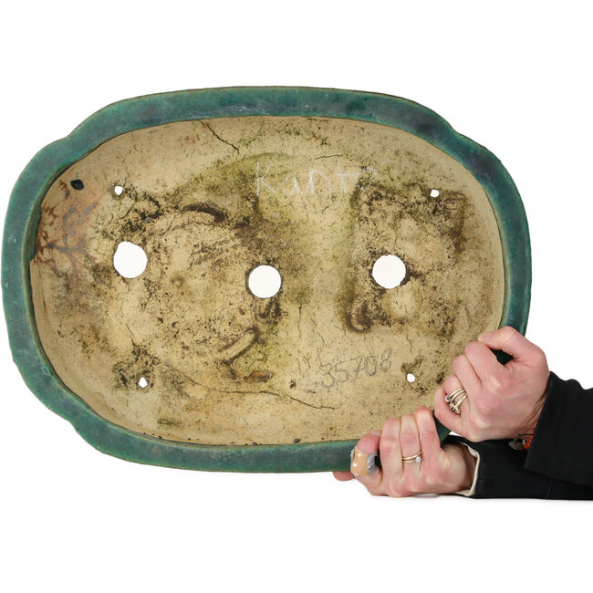 Mokko green bonsai pot by Kanto - 485 x 350 x 80 mm