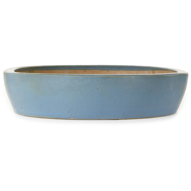 Vaso bonsai ovale blu - 510 x 410 x 85 mm