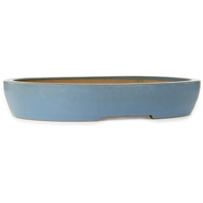 Pot ovale bleu pour bonsaï - 510 x 410 x 85 mm