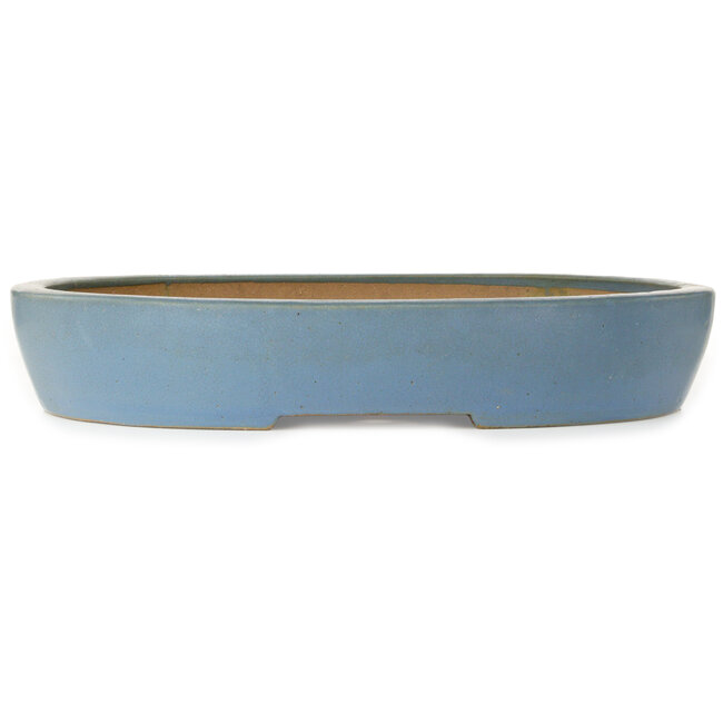 Pot ovale bleu pour bonsaï - 510 x 410 x 85 mm