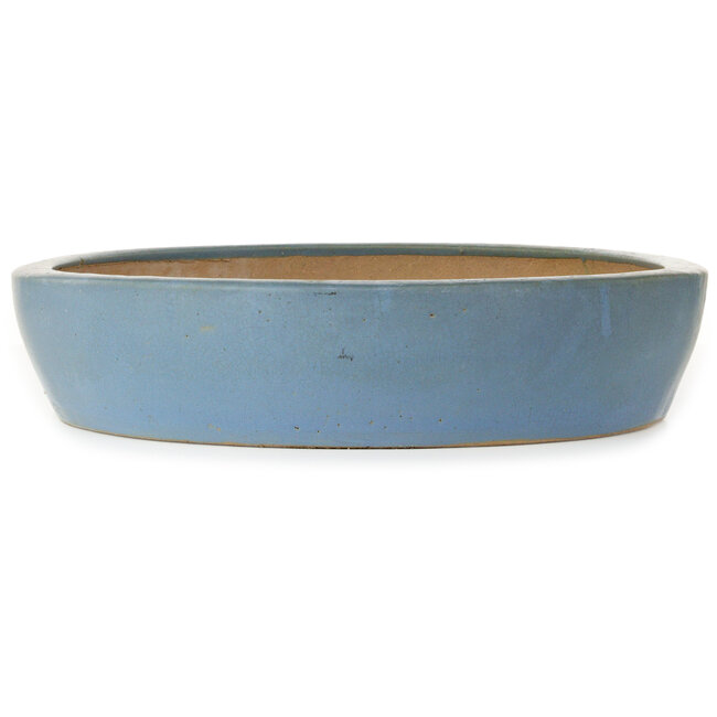 Oval blue bonsai pot - 510 x 410 x 85 mm
