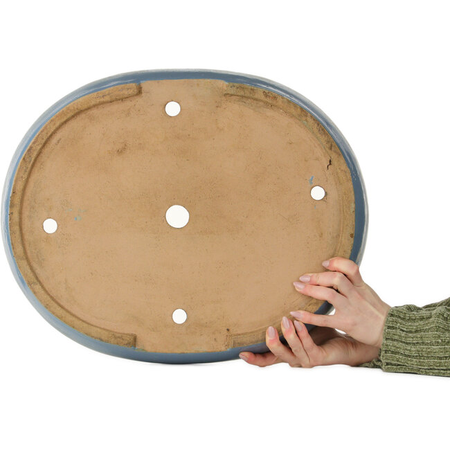 Pot ovale bleu pour bonsaï - 510 x 410 x 85 mm