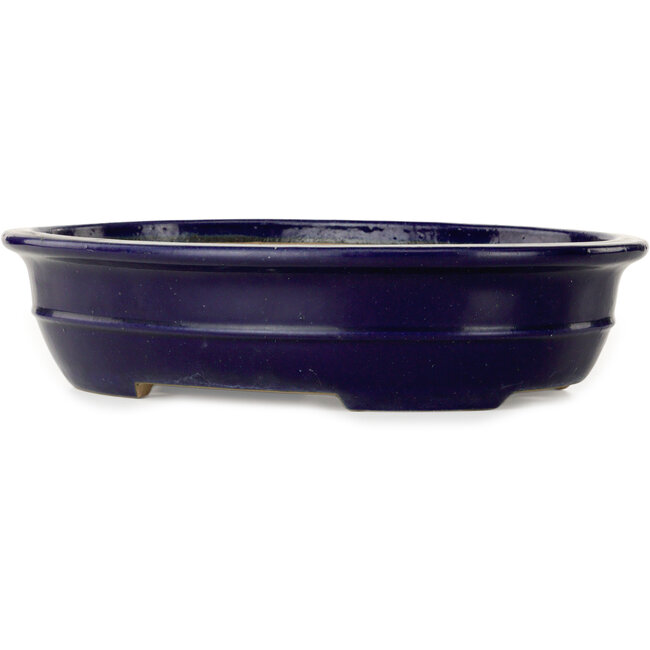 Vaso bonsai ovale blu scuro di Seizan (Reihou, Kataoka Katsushi, forno del maestro Seizan) - 385 x 292 x 95 mm