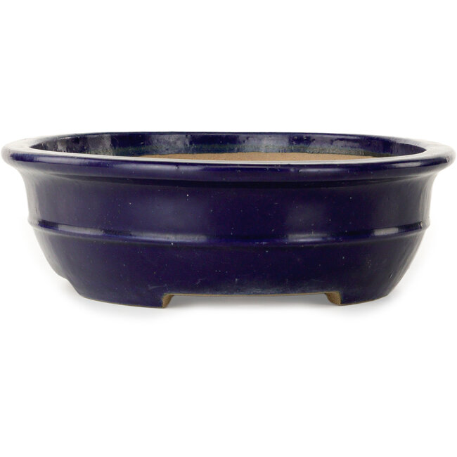 Maceta ovalada para bonsái azul oscuro de Seizan (Reihou, Kataoka Katsushi, maestro del horno Seizan) - 385 x 292 x 95 mm
