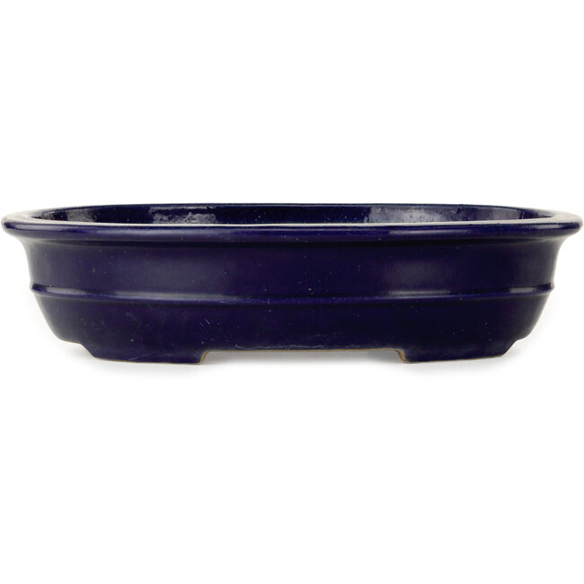 Maceta ovalada para bonsái azul oscuro de Seizan (Reihou, Kataoka Katsushi, maestro del horno Seizan) - 385 x 292 x 95 mm