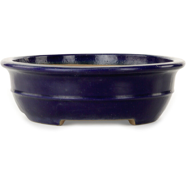 Oval dark blue bonsai pot by Seizan (Reihou, Kataoka Katsushi, master Seizan kiln) - 385 x 292 x 95 mm