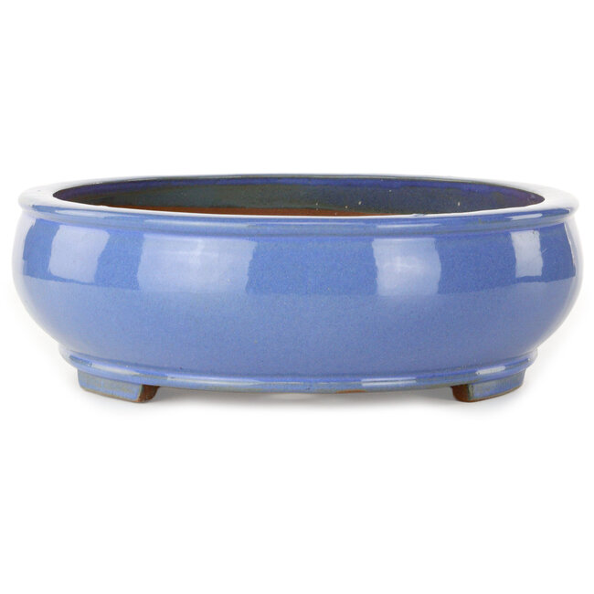 Pot ovale bleu pour bonsaï - 390 x 320 x 105 mm