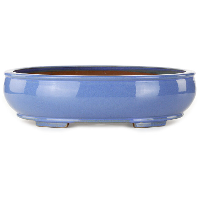 Pot ovale bleu pour bonsaï - 390 x 320 x 105 mm