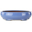 Maceta ovalada azul para bonsái - 390 x 320 x 105 mm