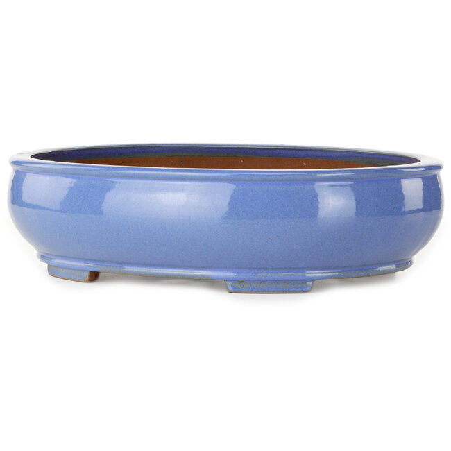 Ovale blauwe bonsaipot - 390 x 320 x 105 mm