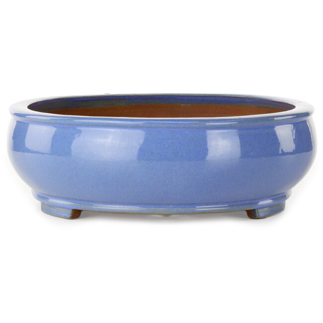Pot ovale bleu pour bonsaï - 390 x 320 x 105 mm