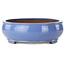 Vaso bonsai ovale blu - 390 x 320 x 105 mm