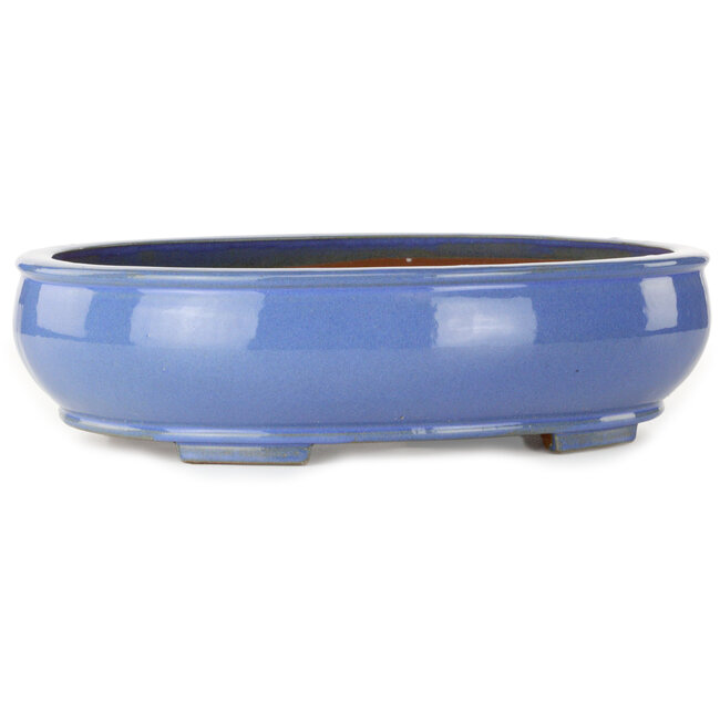 Pot ovale bleu pour bonsaï - 390 x 320 x 105 mm