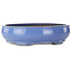 Vaso bonsai ovale blu - 390 x 320 x 105 mm