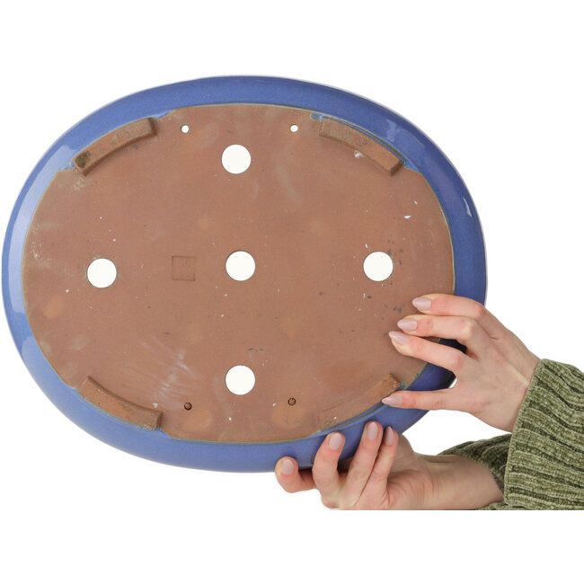 Maceta ovalada azul para bonsái - 390 x 320 x 105 mm