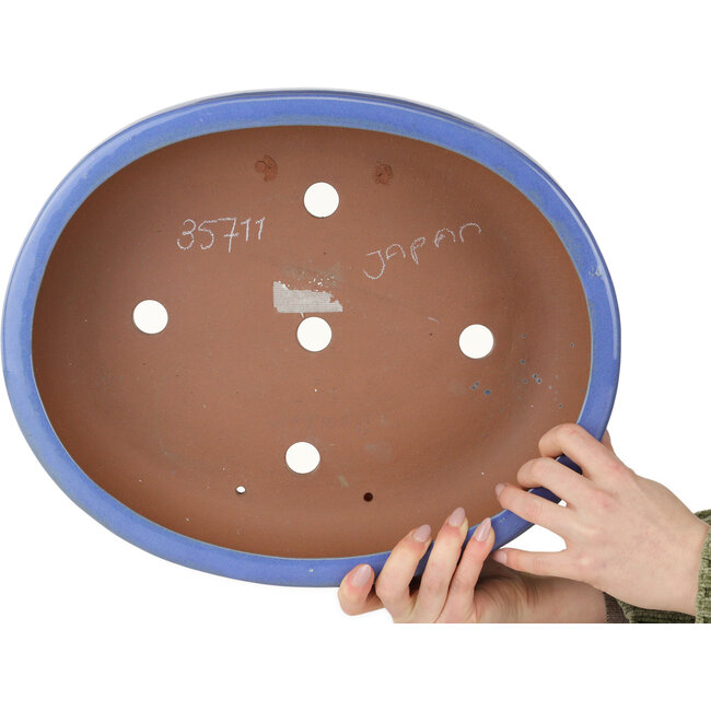 Oval blue bonsai pot - 390 x 320 x 105 mm