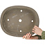 Ovale, ongeglazuurde bonsaipot van Keizan - 430 x 345 x 100 mm