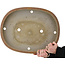 Pot à bonsaï ovale non émaillé de Keizan - 513 x 397 x 80 mm