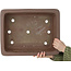 Maceta rectangular sin esmaltar para bonsái de Yuuji (Gyouzan) - 475 x 370 x 130 mm