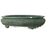 Maceta ovalada para bonsái color verde azulado - 580 x 455 x 143 mm