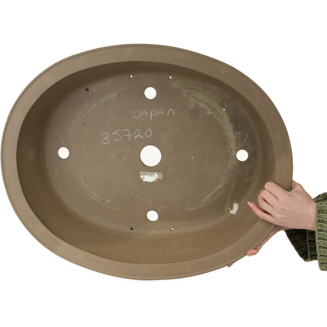 Maceta ovalada sin esmaltar para bonsái - 610 x 498 x 140 mm