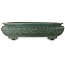 Oval teal bonsai pot - 580 x 455 x 143 mm