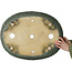 Maceta ovalada para bonsái color verde azulado - 580 x 455 x 143 mm
