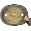 Pot à bonsaï ovale bleu sarcelle - 580 x 455 x 143 mm