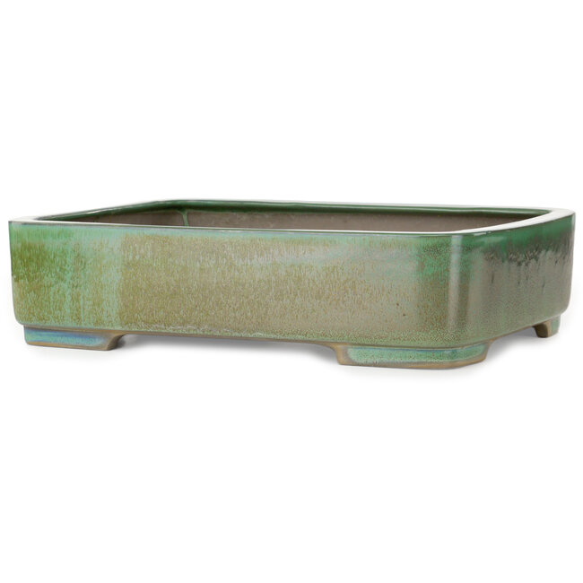 Maceta rectangular verde para bonsái de Houtoku - 412 x 303 x 97 mm