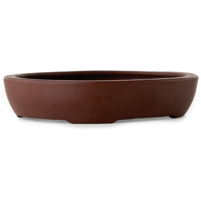 Vaso bonsai ovale non smaltato di Yamaaki Toshio (terza generazione) - 117 x 92 x 23 mm