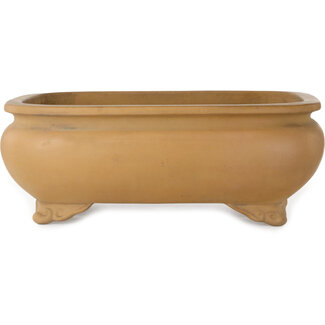 Shoko Pot à bonsaï ovale non émaillé de 485 mm par Shoko, Tokoname, Japon