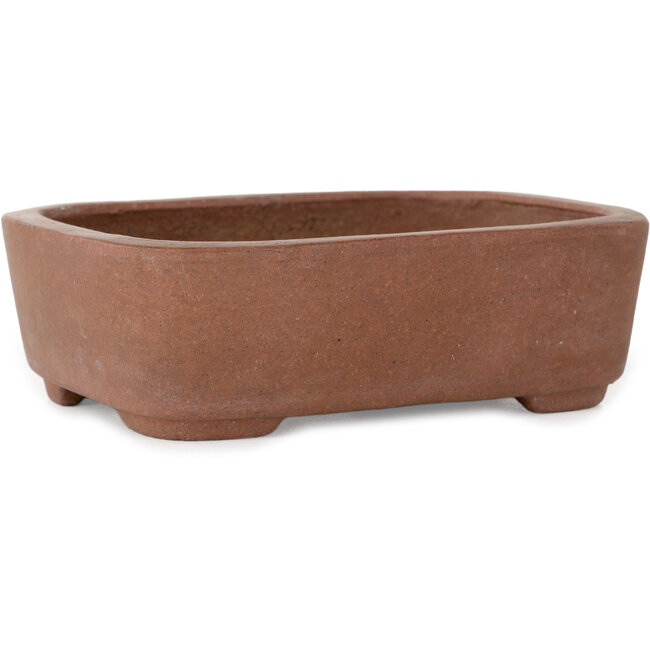 Maceta rectangular sin esmaltar para bonsái de Shibakatsu - 127 x 100 x 40 mm