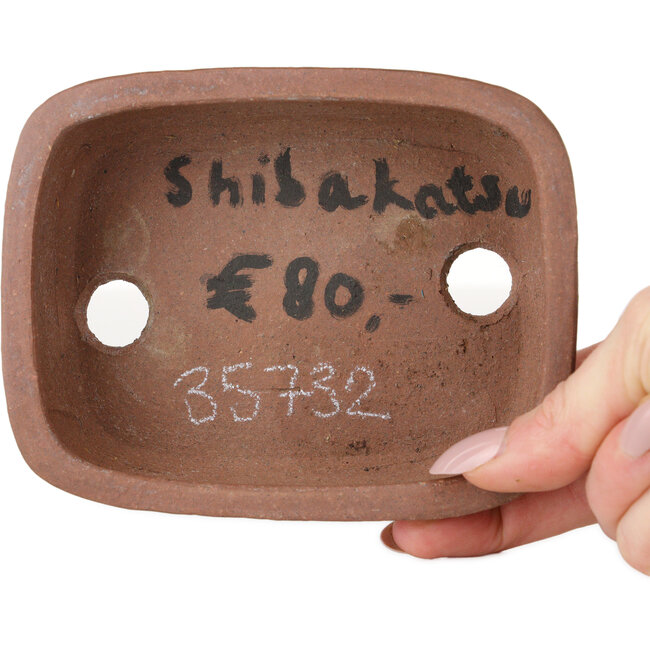 Vaso bonsai rettangolare non smaltato di Shibakatsu - 127 x 100 x 40 mm