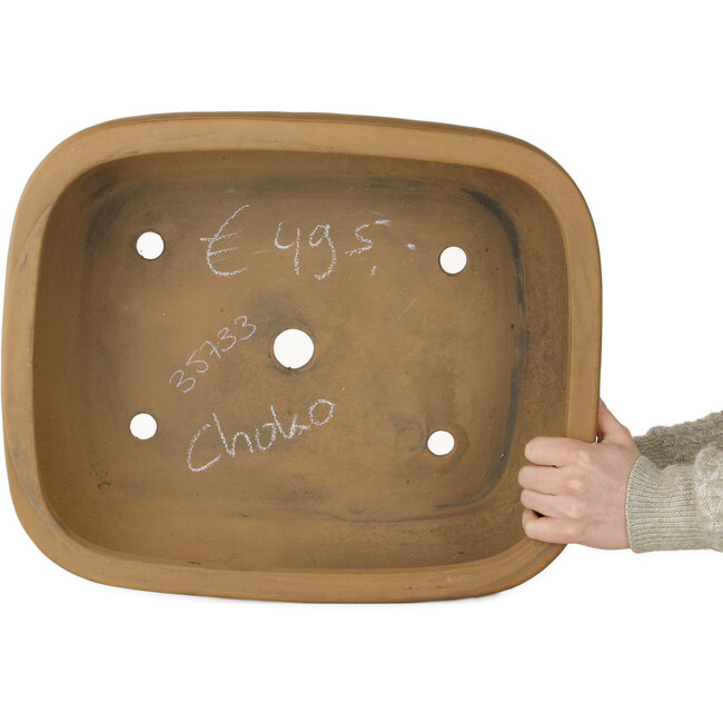 Vaso bonsai ovale non smaltato di Shoko - 485 x 395 x 175 mm